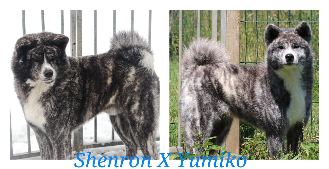 Réservations possibles 2026 !