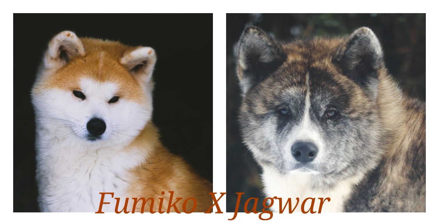 Réservations possibles 2026 !