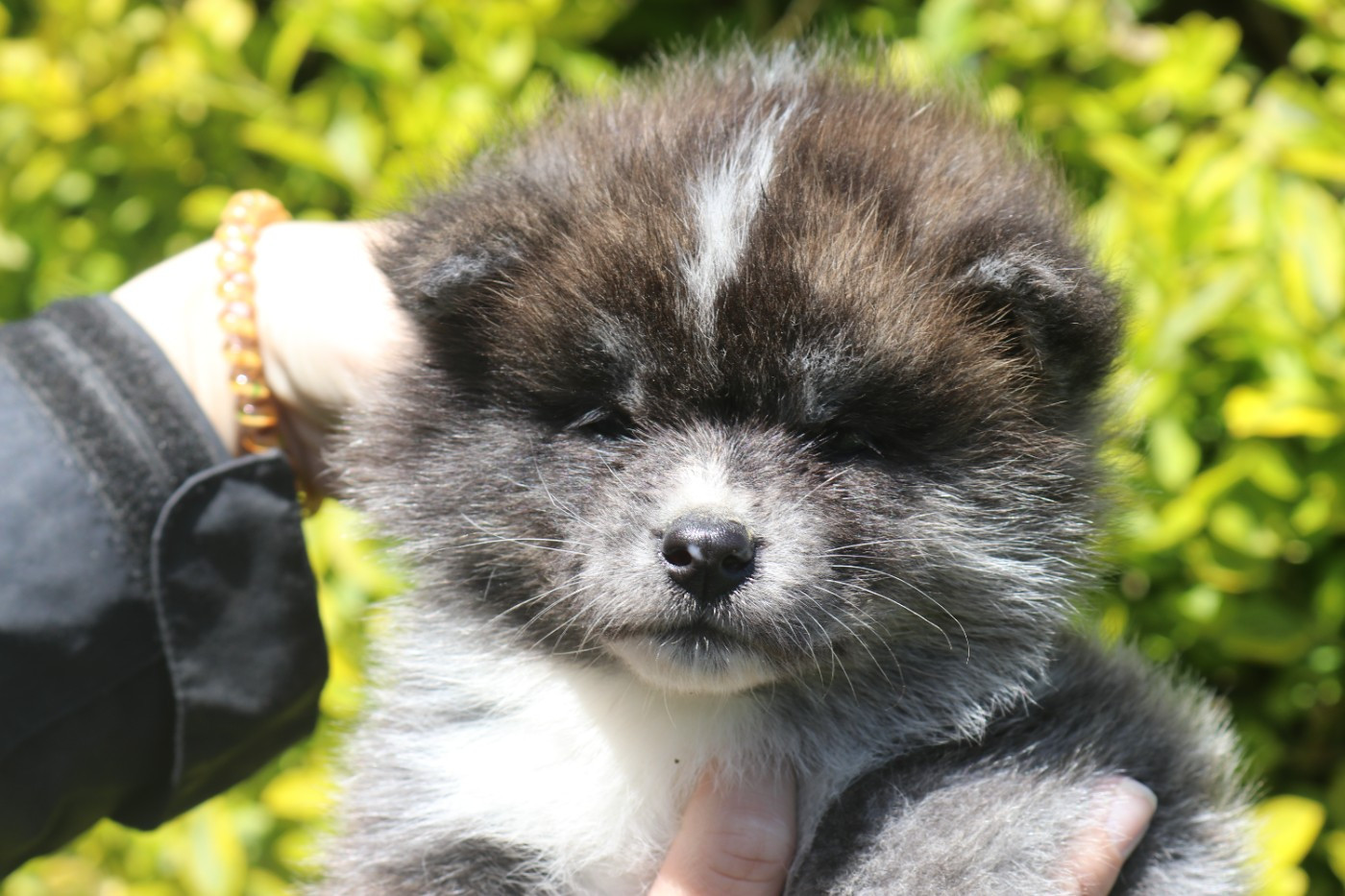 Réservations possibles 2026 !