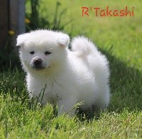R'Takashi Go