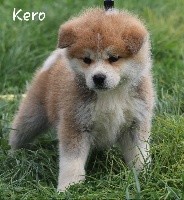 R'Kero